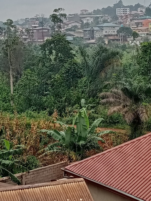 ATCDNfU7K5j6irUqd4oWx8F2FGw-v-lIE2t0DMzcSFqJjUMAJ43UrCy-wo41Cd4aBSfqC7AAr16ITxucLborLLVKbuRnFVocYsR0AGxhI08A1tRkf7gcURyjyigz0sYlLfeH7UCPaN19wwT5iP_nSICSW10fB0B50fhW-aUsbhq_g9dA_O5Ngth4NQN5LeLEyR-2WxjbA8FS-tQ8be7NWln4wr9iY-tmf-XLzEimDufa8owb__20dNpX8ESBJXk7lSRgoURbCNAdnQrvPDUeZBJNyz0EnzAYAoZyeOgEuSyJFgnva81KnPpHXW1XutxqYQXu7PyTW_LpDUaEEyQuzRF-hsgcNOsCIXwItH4esYQ0d2yde0_HeCu25HNPadY05Qv_lx8MtzMK0JL4ozqEmUYaRxduUS-5Kej8zIx-HRWdsneMig_2