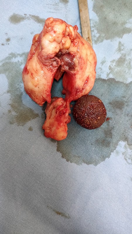 ATCDNfWGIRhq5C4R7WxlsJ87v_haBUiC01KFCLR--DRHHHIEmp4KdtgFaoYfKCLn1RKDfNdQ030SfEIjXK-JRUMnldgCvRM1I5vl4IcC0xE79gRCqyKXyY4EDclCNo9loqx1XYbpGBVpvyO6M6DGuX72l5yCaZQLolDHMOr9iUH4lFJqbCm2IPGicIYLlUOyQMuv6kV0TRw0r-FJU5uMKgxU3iITkFB_OI59Twe1FNT7DFMQGVm5BnQYoUZoncge9s1kYHsBiAcBgmNehiNyTAnS8ZxxMQ7n6OczfqdrPeLyU_3QjQ_1