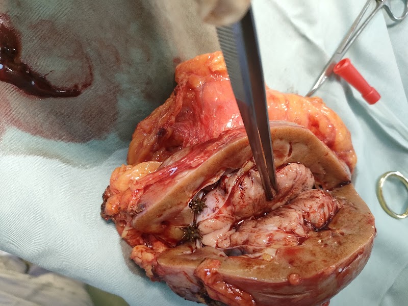 ATCDNfWwwxbeSPZt6ro4_foCtIqR9LmfpIeVIyzyQmML0KNQW40C53iejPOhscgU3v5xFbvwxZCZ-n3GKp_DexI4FCVhHXr9XE7pkO28sBMGklWJ5xSISkuARtgPJ0UyjK9mEanTIPnJl2GrUhQQuMGFBnaCe7qD3RQNC36kxx6NU8h2Jzs4nvVyznYUQeasggmR-wBfLg4_HC_dhujZV9yuXvq2vnU2vzpGEto01aWe5ZWB0W_Ml1MGt8vRZLa-AagNyHX61MuxXPgwaPHBfI2I74yhZJDucdH5EYVkTTlSiVIiJA_4