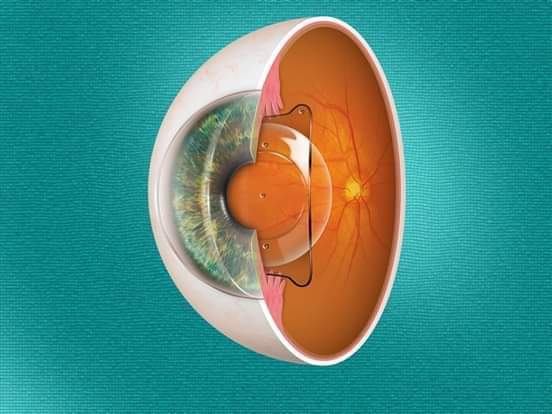 AU_ZVEGHzBh9GS8-nGRHxnyn-TK3AbmFdnln9Zwd4ucX7fVogGC9F9V-LmzE6RjVhyJtLHyG9n3oTSwKdeWRrzXIjZ2-LWbyDZISeak5EMhNaSb5OI_px3x2mdZQIWX_1cEm4pl0Ff0sgpHaMfP4rCtNOpelGbRx0pfaIHEwYA1-4YLomugYumLCKuHpiBFe3zeF8OFiK5TCvj-T9qEeZsWadW5Qpf6_raPshziv8PQLcec8YYOMB1fxIzKJ3fA0t4lpieB92JXP7QnQvGJ8_EYDii95RYzv6KdmHzlXrcdBTKQVPw_1