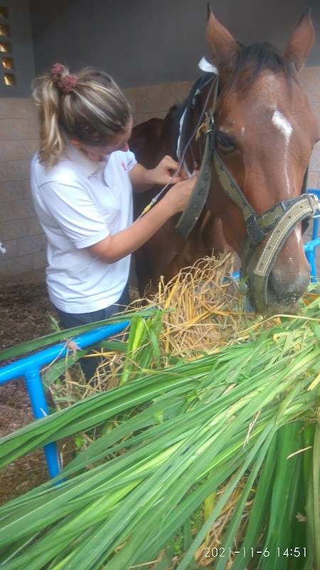 ATCDNfXVWFJUrIdsim6YeX1MYMmy0q0y5tY4OGIjt0oaw5gc6chimt_U8qe8Ofx-01EJFRpPEg6mmVVkmpQZQeotaYKXTmPCX4sfyVgq6l2wNZ1hnuCjHAuIXbCSki9o40z9G4hfbiq7YGJQw2GB4HZSJ1-OxdYMTu03hfBjSz-a8VLnDS4Smmdfc6iOJT1y9RleQwU5mPMk30ylIUTGWmGzu_zOUtStyDKe0r5x9T2Sl__UQ__7vsThha2rbt_RCV-KE98vKKY6edB4M5p6I-_PmsgTAO9lWeJwtAKvTu68U1NGafx7H07wJdB3iZpy4luovLc1pq4iXstAombZnJRcrd6xQeKCeM7OjZ_NPcTd5yRSo3ou_JntRjLVcYq7-whY8Oj1KWScLIv6NdMuA6kGFYXI-FnIUWxjoH62qdACzsc_4