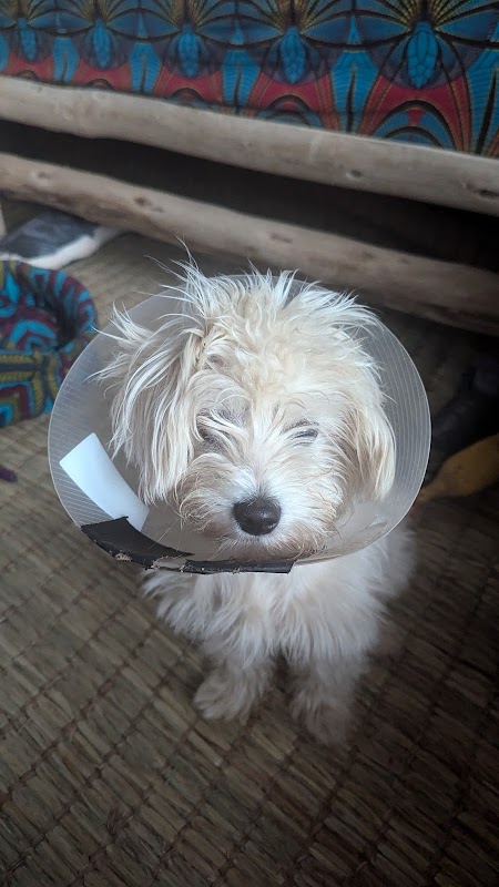 ATCDNfWN9ZN7IVkzIPAQFfd3l0-Dh8h6Ke7WjAiVFrQeh-yyZ-ChOJYF3NmzEWEQEnma-RRowHuwyL8CkTn3oVvQPmsrI0d5cUOkqVyzBA5o6BN-5tvtzaMOtOJyzMm3DQw1a0hMrITnWIjjr3Cjcf9P6CrJHjjBx7CCh4qdsFyT3CndejML0eX_JPD8l_yh-uzmIWiNNX88eAk7_30hskCDag7iVdMhIxiHN-RCqOqMD_yNdarOUUm4WRmQSGGlUnPabfgzWNvxIM5SPKg_n7lpKixhZ5c7DkkfdJSZyi2pY0SgIaNiWpmC82fXuPgu1_bwUuRUeM62SiQqxaOJHA6GWz4Lb-HzS0Mn5wmepkuL-035-IiSaTBRr5S4Yhrr1f59OcznJoVYQ1lCIev4aqfR5gv0qvhiKfEbO5juSIEBQYI-lLzn_2