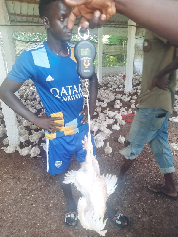 AZLasHq1Ljuuvqb6OMZvlaRW_RTCvJC-qj3Oz4jWXl7pAntuYBV1A8OLcYOgrpRoAjFRzASHFSmUaRmTFOhtvUCMRwa6ovrpzSQN4kucIhQwDB4dF_NE6IzN31heduhetT3crnmH3vRqCsxBijwDhpnDMADnwyC3eviShcJ4nQd2EnEKUZMj7e4hSI1qZ0oFZ0tNEHs9eqC9AMWaZs6A7vtuDzYpzbmhwLdpXfRYyMwFcDJweeEjrNZeHoGbpf_7to7DWE0igcEDIqoxsEdkEUrSQwhIaE2706UzIUpJjK01v1IJJjUUGmBFmuIMw7Nbuc4a3b9pQ3DZwgag8lO3cYEpU9mM5mX_W0WFiGCTwhLXOesZGQ72_RuXy715b5sAcOn6hjAR2jRX-21enjE1blzF2v3O83zeaS8dT-WWwokCmcpuk4UZQkdYSnpEmHbjGEPL_0