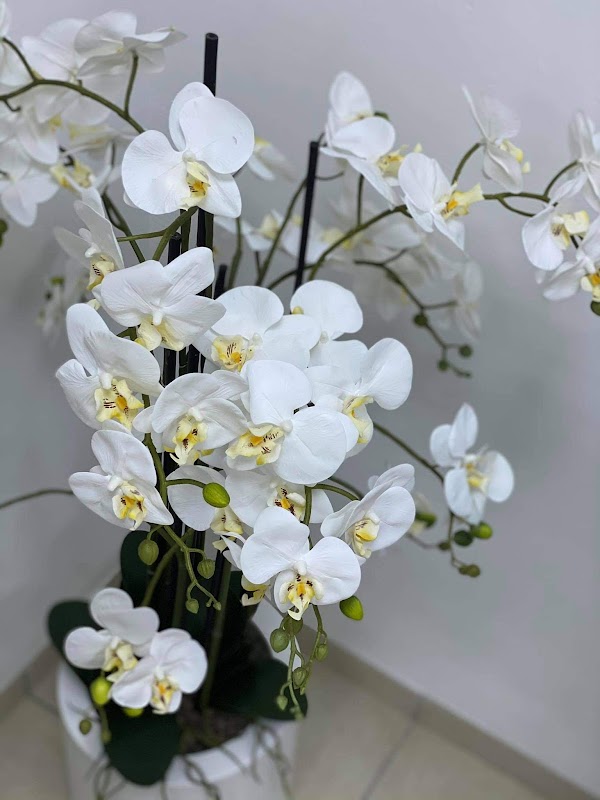 ATCDNfX0XFAM6dMII8I4g5jLK-i6Ng-7j-cUclbz6Aq8QBqn6DEIldGZ1x8xDGkwu1uMywOkEBftMQgbRB8p7V_jIsGWdwwNLFzfU2U1jpmOx-TkwQ0mz0TqpPit2ObTnU_-LnNk5EenYcTNio1BLNP7E9L0TobG8xyfiuKHpJpcsDpz6QoPXAamnnpBveB_Z1Eetyyo_pfo_sxYQdQ0W59dtoU5Jz6p1JYbKucY7VREvWKcjZl3tsTZxEgl559P_NulJicTON0h3En_WFgmNFtZuyKNyPLnZWTzTdEr-lPhmDqofQ_4