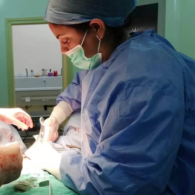 ATCDNfXh-W2864p0vkYLwwVxemU9SGSfLY4pZHzL7pZvWDfBiJdvoy-bDOb74rEewWFQRYd2y7lAHIrQRrotCvEWdqiMNrTIntb1RI36Q0lAddoCqzlbsjqMkS3JX_DqJ85XuFMfF6gmGZOTrLyaN_3pihpmwjV9KWn_qaMk4LK5EVe5rnFOFSCeQScn8YRQk0LdzC051Z4qEZUpjuP8zIR3Yj7LbD-0fLxcsIEhdOvOlEpDnThw9Edd1D5Pi_ZcpBEQzbgscdR58fe7mmVxEulB1iE1sBUdG4TUQFmuGRQeoX0_3