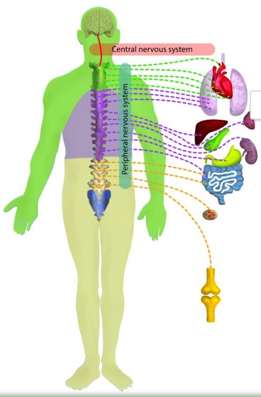 ATCDNfWYk6Pyt63Dm8TVN6L-NpHLVAZJTp0SWMIr8yyowgO48Oiv8CY1MvqK4vrtDlmtp7ZvgRANRJCBpV_unVpS8rlwu3qPNZWnkFCA1XiT9rme0KJkqg_fJ8TtO84iqayDAddgqgLV03SckV8KwpERTtQsstJM9-N16IMygNvQw8JKpUzV9CLw3YolSY0F0qfgorNkpavX0pk6rKM3B5BlIwxwtuvR2N38WiyoGySYQYARKpViDpviXq-d7kcYq0CuWN4F3bQOU8Kv0E6r0hO9G2K6rQ_ebJpoCeSvS_qjZsJp8M8MvaQlSzs5ILQguikYo0KpuOSdZKwy2dZZPOV2__gf396tXwnnGAADFkZBECJUDUqNL9T3Nm-K5ZFqCgoskcGRxyadbowUeJR5sD6MPNqc0mK5aKk6VIfPkhYSYL3VIBMo_2