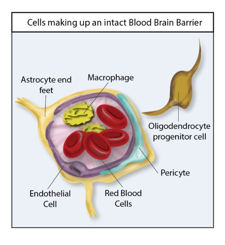 ATCDNfXs5WxP2MXaKJnGMw5u8kKAQ5n9722Z5ARlDivTadc4IFOyccEaqtuMc2trd0ewXsDO8eozeFBGajzSmCeNXDaEaUqvZalOamadZfuyARUAR4fBJb4grNrr7vJ720Eiqwh5fTckS-p8fxwrV3JFhCNRs1ZEEvNMHQ4jLJ-ci0Hj9AS-8ZbBlcwCKOhYowkiIgjtDbys93xy6_eqtJOSisNbvFx_A4ZxGP7xKDv_w-DFUuU865HqSG31WFGdiniBfLduAVE9tQQ9iNydcAVe3ENk_8vKrKrMax2n-lSDNkUbN3etvbGIUAxG3NQReR6YjRmkR0_Bto1bCGDE8NeSY4zVIYji6QSng_kPvPjnH20pQ3y4U18x_t3QHUEecDqSYmhMZNyyj1Ywbv6EDoitMaYwMlSzvE6ftAdCN14TdmQ_1