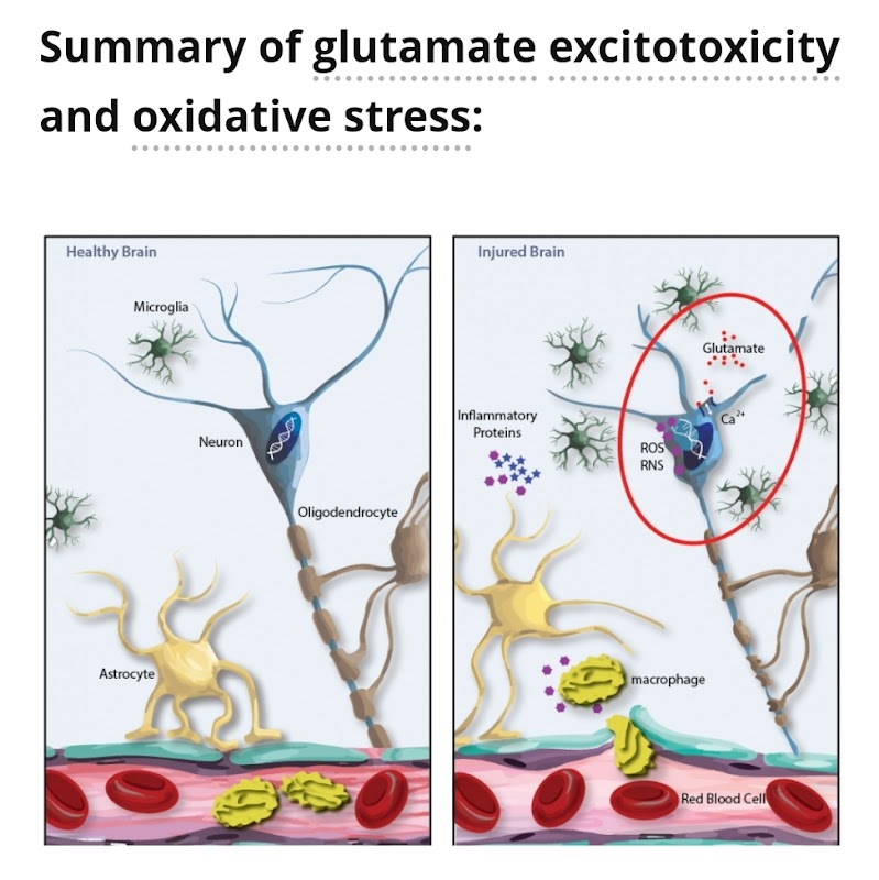 ATCDNfUS5RTTF2OvdaP2PYaYaGc9pqXliQ92m1DDzP7ZLrn2HZjvQwUy7Gp70KkJpmjV5SyuxPUx1PODPrcmZPDHDCIbHmZUZLJOeru_6sPv8KvDtVhP16Gx6xE2WbMGAs18QrW5b16M2Gp8M5PO5WxtLeGzbu0vO3hnzMlZC58KKFwrCkeicNKSM1ZbDlrg6vR1DA-y47VdfLYxHPpBt6C3NWSbmtnyjyzl96wZchnElgu7BhMNCdvFYZe4XnCwQdsLPcZwpKKHucAxaTS3SzwqpRAOISPGF0vsn_2UJeryvZog2ibltj5oXJS5bpv1O_pG2AY9hkwGQLBUxZNvHcPLwWGI0V8HNUJirHXmcHzJv7DPdxWHZKPUdps-0qFecIyxZEonrOKKpcKfGGxZvHS0NBW4_qOD-l3XExDaZp50kLRBEWTJ_0