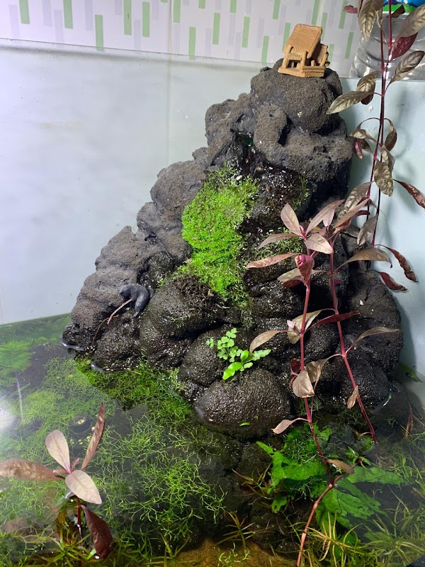 ATCDNfWK9u5QAmHnJYHxna4ldDeEfmCWCnzZ384TmVuVl8-jBpWlqYmiZ_JFlckWkVAB9GwTUp5JVfvWlNi-CuvoAHeA183D0CYK2DSK6akvUcGXVD_No08Ly2XhbmZeWyDKoWtsKN_WqrBa5wEwP1jQF6a3iIhFDoSsOcGJcOf2W1VGBnhFboiO09-UcXiKBJH6v7bfHyv0jtUDeDgwfH9CQEY8pNG4hoB90sjYwzsDnlBN6TYfZStRzTyCo8dJjkrEqbD6PZK_nsuy0EmK-EMW-xdFtV_pkoCrTrb2H85evCZl-A_3