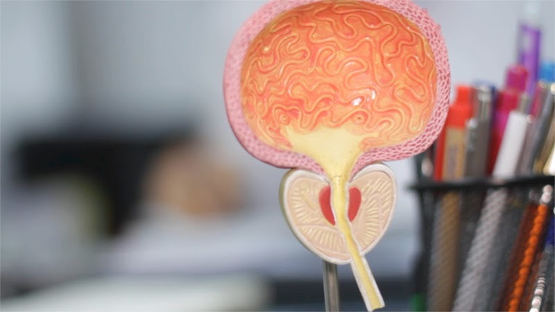 ATCDNfUf_RKY-yl7zkwOz8fDYy0XAuIf3y0iOhjR3m7aNzR4GLaq0aubn8eR9QWHto5sbceG0RoGg1bb7thfWKKSaLXMusJTvK42-YN-CQQofc0FDPzyxOfMh03yj7vfKKnC-HjdC-WM6f3JM9WEE5buFIKemJGH_l44bS-jxmqW_aC8G2cbRLXKfYTG-jdqQJ1e5S7JeX3H28cmIa3ZkNpEDpc16hoTH8fnr1qKgIfAlrTgOk_pd4ypR7TPMBNIwjWto8IoClOUu51GkdWrl9QxQ6QjJxhEh_WTtjNy7U77uFYaIg_4