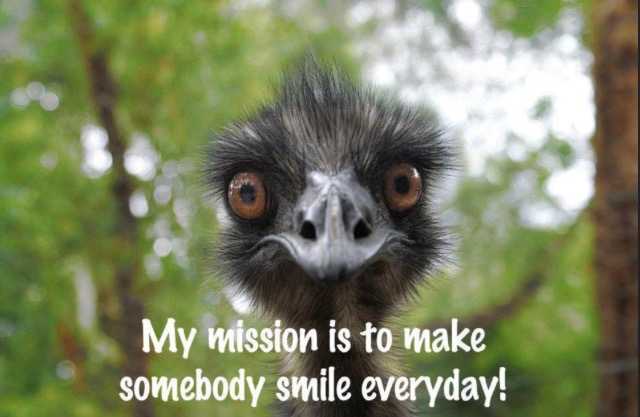 AU_ZVEHjFueMzCV29e1SBsOR6IYicl6inC-fndzaA0UvvJomRuHVYbOYnav-iJIKvTenpc6QWMK-2-IJtQoad8y9Cqsqvpf5yY1uw3GLwPcB9aW3_bfkXUre7Kw4hMdVoNiS3oSYsVKKYxmZdnxGhuw2_nDk63ET3om5fisUFwKzObMFlJmEkqDj0c_fulOWF0AvEvrgfr_vIxyN8X79Jz_pYxn7huHa6PdicOYVy-uQNOPqm9Psc7plEPH1tTExOdObltuLQGAsqAXHVw-Ed7G58bCnD62c0LmoL7Cgb6Q6gFg9Uw_0