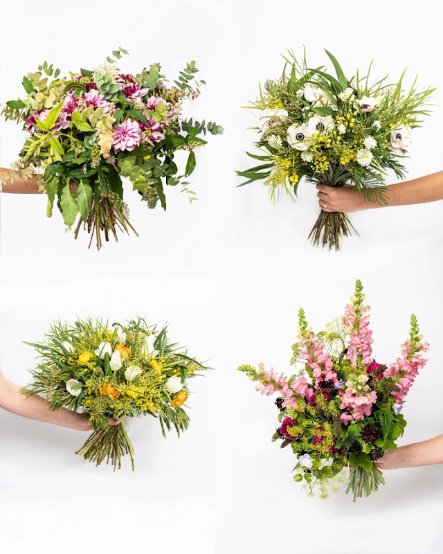 ATCDNfWZRmpd0i7g4FoLyRlqxbT_mb1bOlyF-XQppBdChaCWCTTRlZrh_2VE9fNFGHAtpsonslLmGzzVWfCutfZhY7djmV_5FE5bOEdt0cEZoXd9K7evW8u9bvIyONKdVLCkGMf6GZ5T_o5wwlopb_iE-cAVMd1otVGccuV-EtfV6YolQLzUhivSZHGVCwLrtP8YDiMn8UMeYJ9p95iJ-W5sILXbQ_yboJPDgLbsWKAn6Kr5Wx1j4NvPJyFQ_-WoJshiPsRvc_34XJ2bPR8aG9FadPaq8aLBT9N5qV6KXwo8PkH5njHN1x0cPtX9L0AHwbgNWnHyWAGPlF0Y37WA94J_Ts_2XFTTOYoZllzaSDHQiKoua1Sl1aABCFJxjFxiD2ta4tn4Wf2Qgf4i1vTAEHwQeQ6k3ylSdVDDtq0ayNLTFlDL-fDi_1