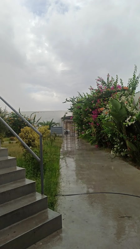 ATCDNfXgf0deIhm0RfKEFddulWEuaqxWLEzbllk_JIulDdPmENZNb1FlM0Q3MxnDEK_tmrwOjhfDoquNW9jdqVAwOWLTBSka9038kxW1udOyVhquvRGr8iaMiyrUGYnbfVh3giZrCoWOSYPbySwgp4m5AC2CVZMnsDkfU3o1F4ksa73DiX549n-8PvpH-XS8X1eCk-IRGx-mjXKV7NtGZ8WO0HiF4ONB5ZDIFB6bh6ATlEvyyMlo7B8O7x0ws4vYAk5P_8DYgdnUSwyy9g5c0vam_NX5MGT0TdYUM2dtjGWVW-jx0Ci0gNQ0_z5OiNY7VgUE4Pyt38XKjlnJOxv-7SLGrG9gccom5QjEIHIsSgOEpThdQ57IbdaBmoilyR9WMeMp2RFH6HcsZhzURJSgMarS0r17wbIpZ64JfHhVbbEHQCOvvw_1