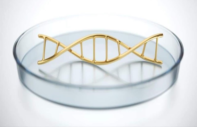 AZLasHpIkgwxOnupozFDLAFBXJF4cXmFVbIByW9fAiGFotyjZH75e3_MADt8zMpJa9PoxIF_Be8Q2fsWYJ3WStR7qpIiCQzZZJwpKYX9z-jZ2b8aflmINOvTNs8qyCZuOQtOCwjENv8Xx42KV6SgQJJKl0exvxwKSZv010PXDvadS7YIcEIJzda06uueuaAfJN67cBqs5k1xMgwf5IQHRyXTFC5fHiEi0mEqavfZijKTPquc6O4STg1lDdqKP97cu3EXgcn9E985qSzxDQir48IB1ToeLEOaDLdzFgFX9uhkbUwn7Q_2