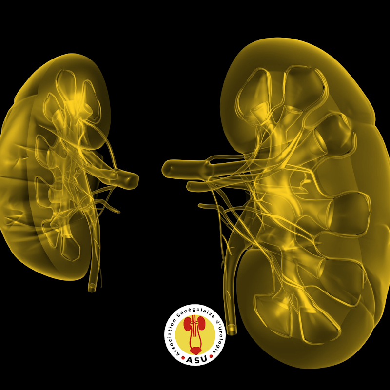 ATCDNfXUU74PFpqFwwA_KbSA9Jx6cEvQ6ooq7Kiv3-bsv8Y2SKT3MIr04GEhi7BmyhA5rqmJiidWhEBuFFD9HUYMe_sZpzCibgK2-pUJXpPpHnP_AuGq2mJw0jsSuMKjdT32sZVCSAcZtDrIQODJIp1jtGDQxgK0O7ounaH_fYr8mfXVHsqlspc9aP96tYETUmRstA52mxRhJzO6Zu0iPYc7A_gxrV6ajNs6hsyNb-GAtdZWzErSv5UffPYpeh4ig_6uSVmkWajEuNLNEqANUX0-sSNE2XCCIYdR2TAIKy7nqTgb6Q_0