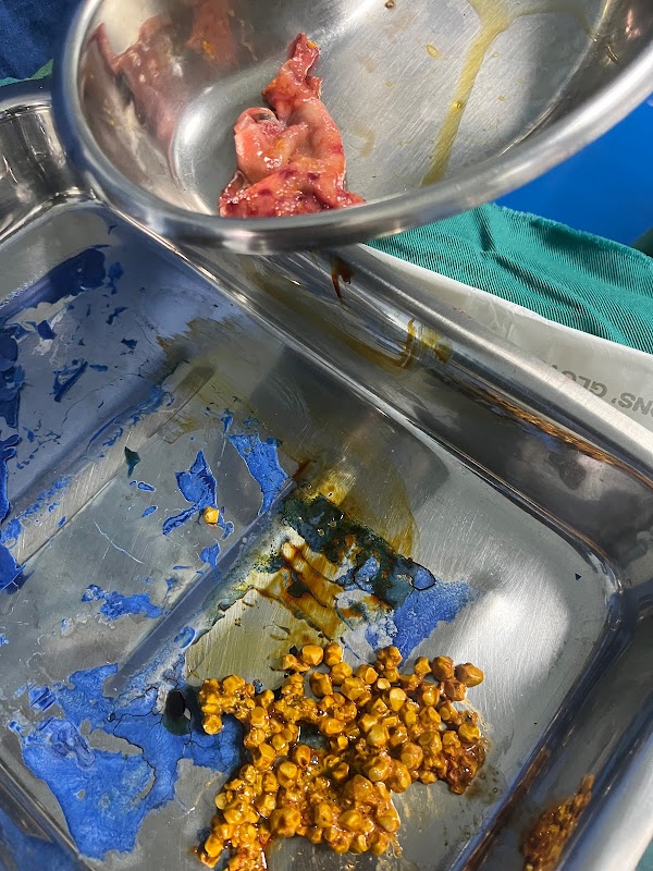 ATCDNfX5ziz6W9s5j9_45SkZ3Hvn-mDxDjfkaAC3acHiv5DWaW4cDjXreyIiSb3fXj86JyWpZWWJ0I7fRaf5vn-QFZer-wssFiMNBdlgylz7SwtQ1Ctm5eAUwyo0hUqGm_ap39SDmgLlaWqgHV76wMgMvYihDuviPMeuU9MLbVu-I3zi_izTMMRt3enWME7xlxi4Fcr7qzZF0BdPzmf4qLVv3bHs713BU7zUoMnd2dS4QtdUE0NQ3anH6-fDMEbXfgoyOxbobi2LqPXiPd3fMBLTTh4U_QdOCQwgoThwAE6vX4b8vw_0