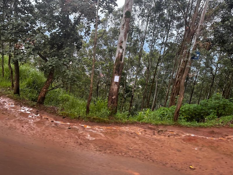 AU_ZVEHnpAqYsnD9Wi26_NSTcx9SDNYHbNPBjzhAKPt8_hU8wd92MXBQFJx_7BoWRG-T3KKQ-t-7MQ8WZWIVUE370DUUdnOMyImRE4QNT5exujTT4Zj--A9T5vRPA-hA53O4b35OJaekrMUZUT-iJQJngK9MvpWO3mqUjA_xW5I25YJAl9EbmhbpI_LD0xJM8FlMbN0uLD2PLIjEqlZ2_QQVO9WsYaz1hnDiZbB2zkS7BDajdTZLhsmHhfb8GpNiZcRX4jBk3By8zFraDSXzwQn48RAGczAXe7owL19QLryEDArv9a5YKRmDai59tyJvtuJF79EtRHW23m50ZnI7nH2hOp_7chNFvyeLOKEVTVjqekHyFk8v3hJm0zQZHvHviCtpHbAwSoKeCyqEDr6XFHI9dNIbGNfO7kLcf6LydA6F3flqVfq9HzmIVvyKMsPm9g_3