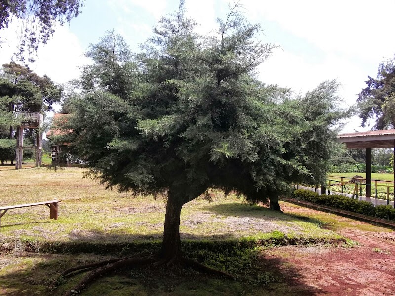 ATCDNfW1dbIrXHJcZn8u8R-c1FgUbhClIo5RCzMzuFNwKICAjbesqpuhsxPFZ48ALn9NMVhzi9wr8N1Lx8E3y6bFnYwKK0IXxgOdFSfUtPFpW7PN_96sAY2NW6prx9JbsLzgf5L5F7EE_ZpQ1NEk3Pu3TexVwrEw1USzhAhLhrfjzMabRkkLzwfOjVT7BrpTejDoyZRLbB1K6anbnUAQ7XoJysCauHeE1lCLXSNXPam6JLJSxmCOIoYZi1cLYowAQIaJgM7f33sgy4UFcGuVIsOKbC78eNsATp_QogSdZz2SQjFtzUJqqu_W6vxH9C_WcEymkhAIlDS_g75bSpDvzG7l29x5ygOCcxvbulYQtoLgLd3c2EE5jjWEgFfmw4Tp-fPuViXvkScMj7F7Ml3XSf30lNZY5z3jCB3WDb3486Bs174wnPa1_2