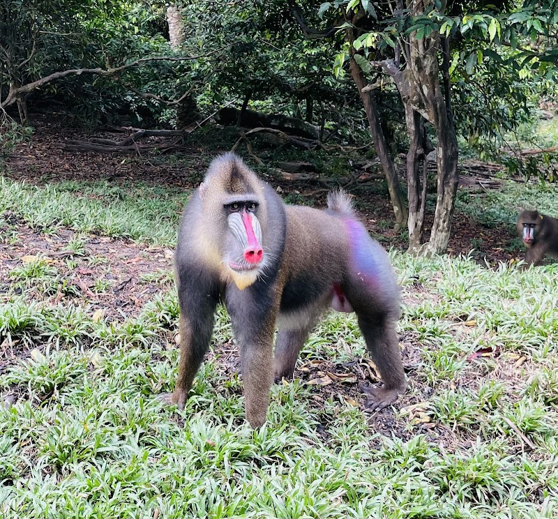 AZLasHrM9oYSmO8foltjeUAjLRpLFzHOK5MHPeFPpIoHhhcKu1O-gfB8uh8KzydUNGDti9bEA3Q8_T7-bhGurACvbkAgrwwRXc3cLsiPtuBej3qUypKUAi1D-CkZaRZNLi4Ww98LKfIrCxMjcb54PTgWN5fczc-_ziVpdQzKv3REPeWeVfHklMNyWKCT79IOVrJRnoLrj1neqDvgvK085RYxOEmNIktAz0N14mcb_8JOP5SUWigtHXgFrHqMq452b6QQCBKRmnbJVO8MLMQLQAsiDrCFudfBcGNCZr3Z6L7XASuvtMPfVEI_4pQnC8Yt0HneAS5qIYstF81HSHbMaBSsVozZeR3umaypWUxrxj0n2KVpbfWzQ0nL1grhwuxp3-5qd-9IMXcTB2Vf3TeG0nYX0kEHzY0d_AmKVkE45QYEna5vrQ_0