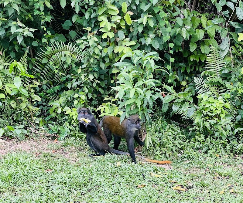 AZLasHrizddni9HqY8Z6KYAxg815CwLRrASyFTelDMHWfQ_2YmhyT3ybAs9BzMromRnjzX3dd5kPGU7V7dbR2hIKluTKWVVYElkavCNVfkbMnLdppgvwSHRT8QkyoKzJO653jfrYiR1dMBlO7CrLpptCOouOou6MMKHSzaJoEscrBBTGsepyZEWjH2xAOYyWJbDuGbz5bscV0dPahE1GvdgiwoKtonzVeqlvSd_lWTjB-JUiBkZRgazd_5U4AgUTvjfdRENX9X3lGw3Qrub3aL_SLZYQeTkU7V8gnPO5u0ne_qSrjnWhYDu3_NQINm_nYfDdy5i-tJzMxgJyOmIgQRJ6pp82Zlb446xKo9G4PpIofZJVsyKym-DnZWL9wLs9bdkK_cczXxBBnbyJFEkVdeC0-nG1QxSxEfTC4CZgjKIeYkdDgdxI_2