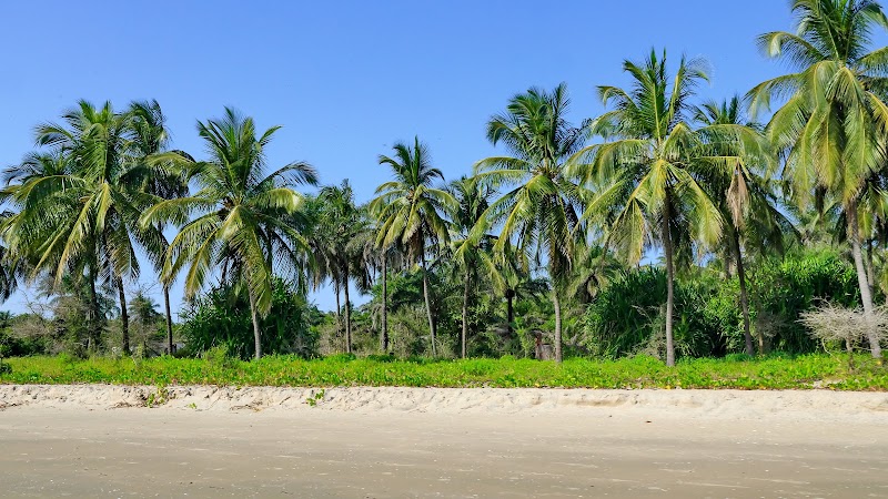 ATCDNfW-lDXgAoqCZxaDayw3WXhiNtL5PFh41CFI0lfKAbwG5wZf1qcVkJ1KghWa0XhyWuivD70RjHhvlOFzazGK_8tXAPb8UqUg9MalTfR--eqoLDbHFJyU6F6mQEz0cDCc6QHIDJXykdI-GYoxhfdnkp0T2gGvoXKFV0mhanQ9BRDFiwBUtKnjXy2PygCDohS9-sLkVchVoWPNaxlS8DeUxIGRD1T6ZuShBehlTGnSMXBfuXHuwF2mu9cdelgnwi7am-wtgedEWCyljzIDqYRjkmySWz4-IlAYyPdM5he5ZU1Ce4jaXFmKE1F_v6LPMY8G1D56aV0u_aK-eMhLestqHXLDYOeD1Gp_iFXyYLldGXS5wU1EX9LR8DlIps4W8wZB5RNpfefu-kwjVa5r_OcsCa0dFGoKeAU5pi14pgTE_bg_2