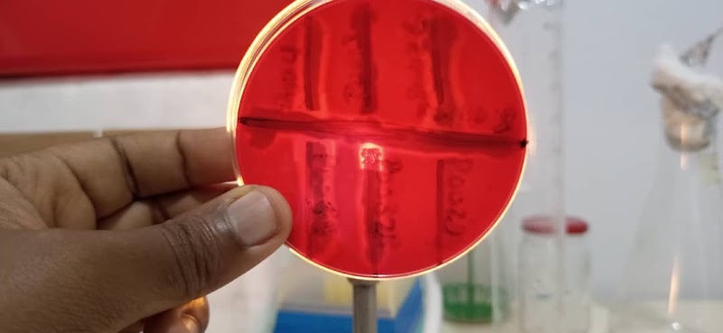 AU_ZVEEW32YZZYpU6c0iKA4KS1YsmRnZvxfI0mVe0ESjTKPdbxDTgQmdXgAkJchricg6qio9gGBwsB2icwzGvPLygx8-6T4tkhrOqFd0qq7Rl6az18iqfOu6Tb8TYrvKgoLkIhsGVNpSqBF9DFd79O1bLva310fqgxO1yduRJaZ9RQrPSCGzs5Ke64tLu_HhRUJ1Gz8HHJkaa8PiJOVB-BKrvoa4-J41q5Y1jVsYCV_BZctwCP-0IS1fyAFgbFsMNIdmlUbkVLHjLJ26JYRTRjANe4ut0c6LWV-LZZ32ic8ZRJcNuw_1