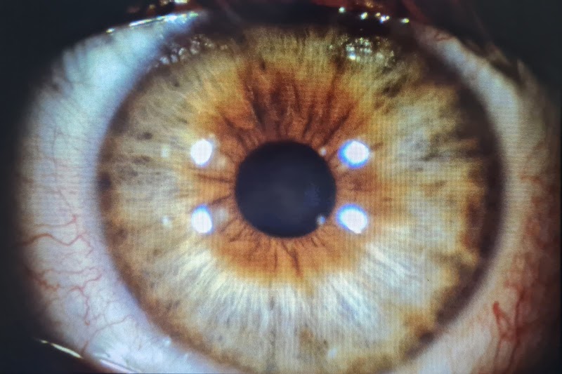 AU_ZVEF1A842dgisla1PAalFuGZy7NV55odNrxBLjMLXnDLLl5aVvC3DIe3hZpdGVdFExltJFOnUw-aHOoEYA6NEOWyXUxO-SeZ6ooAJj35Ljvc3aAx-tpxqbDh9GRCwSY2ullxun7t-N7tio0U9XR5HeOqBzgclvHG_xsZo1MxR8VvCuWEEtwmDFI9bH6T7Ph2CC2CM1KwwM8ovsvTIFMQZemqmQ0RfOK9A0RTUnhTzKk1srjSCT2rek0K73lOJQ_Vkjw0fyvGTN5wWISed0V8F10vboYwvttV8pmVIeQBOtgWd2g_2