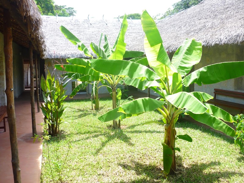 ATCDNfWszQC-8M-ZODMnWZZDShh62D6XL25F5wwu8tntOOv0rTY-L2rwWZwKKM19giZxLkNHUwom8tT742W0N4wVTQjJUCwgA90P4DqxQf-hR4bcW7M47NDYeDpXQE978YNJTyaMTG3pSk3loAGfa34wigFU84V-SLs8B-yKfWU-4hMe214u2O-w-5gvPNKwKL__-WSKluaNjASd8wL4Rvpxh69UR3oaL0zNHWiDacj5wIqp4_oITmWEOzEuxYaClSn4tSc6RUwayDed6-UX-uWBwtt7t8pLE3oYhuEriNxCQgk_2