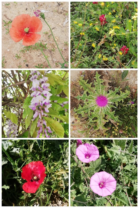 AU_ZVEF7A05ZJ_XhA-ntCFL54BKmw9cE6OGPu0ZVMEkTyj4_XK9nvihNkBEoHxGZnbKO_u9F8OfnBLcvW8d8e6OgWDHcpaPnI-g-cME53LzG2PJMRvHCOqjKU0ysUvUO3WyyCWkrATXKqKOtAGJH1kGt5KZRSE9Y7eo_l8mEqeVp4U1eDuKpTCSvFHtKGsGIrk7vvnoJcB78xhYZpmJBKybeAO02X_E80pFXVJhWyDM8MJJE86YOiiNTaxtwC0auiMOtOzLBJx7fu9JT75mcwwWE6XMx3tlVwiAoS071HnmCCJmg2g_1