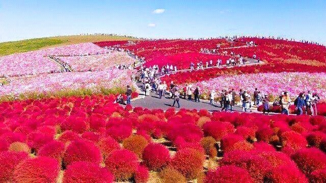 ATCDNfWZmgZCEr6Pr_o2a685dsH7fjsx7voeIL2zbf7DiDLq_TjZmTpT-zxAVuIufDfU7k23PC9sotq8JL7NCWrhbtGn2iZnH2xhU5Aszpo7ZQnouawVJrw6i-7rBS0XNbAekG5LLLk8o_B_dV7_h3s-fxEtOMjqH2pD91lwB72H5SAsoUT5Xenhr6zx6cdpUm3qPcMsK5lv6Xswj69MCjDVV262uGVWdVYXTRrpp3frIhANbY1bQ-uOgC9ZCR1sK9jo9zEVrV9msIzGftmEwyDh14vkZYbVany3Juub9saNNsSkhQQKC6nPs8RBvHvYAH8PajrLDapp5rJTttjtCqts9wNKLAD_WiXcZeKqpezc12QLnta-DKW9qrzLs1TclamSzNi-9ClU3MK5MGbIweghdLlejgnm2hKG0WJcd3ii4rODYbBM_0