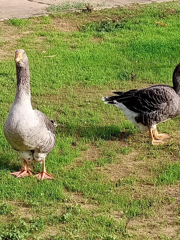 AZLasHrADhhbToSMyYBlo0bgdSuNPdRKso8pytO94Tku5V7JUNo6oh8BW1dWM1CCoUY_zX7A2ML6FR2NvUe-7z2MNyVDJnFp4X6NgNr3f41KoMIqVwrUevJYqssrZV9LWANYXWNM0NEkHPYekfJmWdiFuClF77-jGlovQBp1UtwHZ3qWhSnGLcBzni-wwQyKVorNLSulofmNzSA91rU7xCP8oemuv6k_qHjIECVespQBjqLHY3lQ3GpKCystrSuhSd3sw5eB_UG4_Peap-RzYbNBScUHDjNI8MvkycwaI-OCu7urGg_1