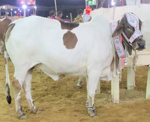 AZLasHo_O2uuD6IS6xFT8U2Hajvo3MttAWS1zqdA50onEOvkofglbjivfSkD5xWmqEWa_7FxTXmW_IdaAMG5YTb4cl9KkAwlECflJrm4WwlnM37AixN4Zk6YWTzu_V1NJSEU8cjNd2iMVa5S6uEbVbHc5r9RdcTeNRrVzi6tRMQnywOrzmMmBOM7tZpTMUZaqRZm0casj8vjGOS2yT_w8anKHQI__485NKqfY8Ar5R-pmQWvFC6k-zL8J1pCcuhAWmtT20CxM8ebhDxmrHYDKj-1c7lTPzFBRzQNhfnQQuratOMURyZRqF6ILUrOb_g2K0jcjaUcboJCMPOLxgK-ewRn34PHJjIEUKyHtd6sBenfQvlnzbl4tnmdHTh4FZGIGNQYLowhjXX68CeuW33mhO8a1FNV_E-Nhn3HYiFyTV21ThTIWQ_0