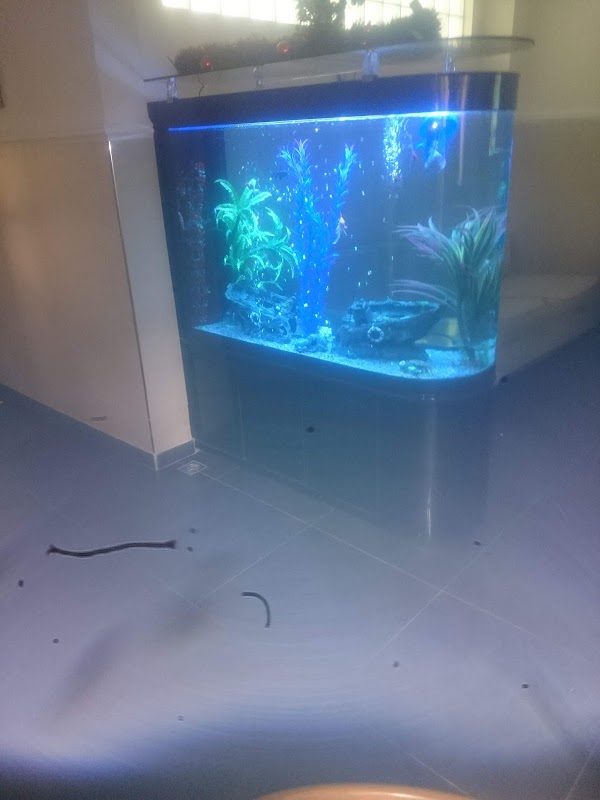 ATCDNfVvN7j5TXrrLmhoSzle-xzv95d-JUBdm5ZK1Oib0xI4CHmZ68dha4LSMSyOdCtNjz4WBXjwTnUDEIeZP4aBivhZpwhKcApcYpNhJK9KJOPVh5lQZY1--lOXt4jNcJgIWN5SBSQ_FJTI5z4Ry4KNKCIjKowyzqRuK5YMQaM2xhlBrlzWv4u__P1brbKqY08f29AOUYhfc7uTVyyK4ONLRFhZj9c4GxPl0OuLbn4Sv2A9d6-mL-cdvga4J7vRuYNraEl-Q5aNRBROgAY2GIW1WgTBmhKjibt3GYefe6pIuApUiq8aO9q7l6y26JC1wbjMaKSwHX2jKvjwsNW54qvC2dwxAZeP2UXQkMsjIRoNu4gHX5Ht8pb-lM4wjhXYPCQ4Qe8uyeuMlL8YqKkMAmWFpt_NYBM66FN3PhanXFWAvDlJGw_0