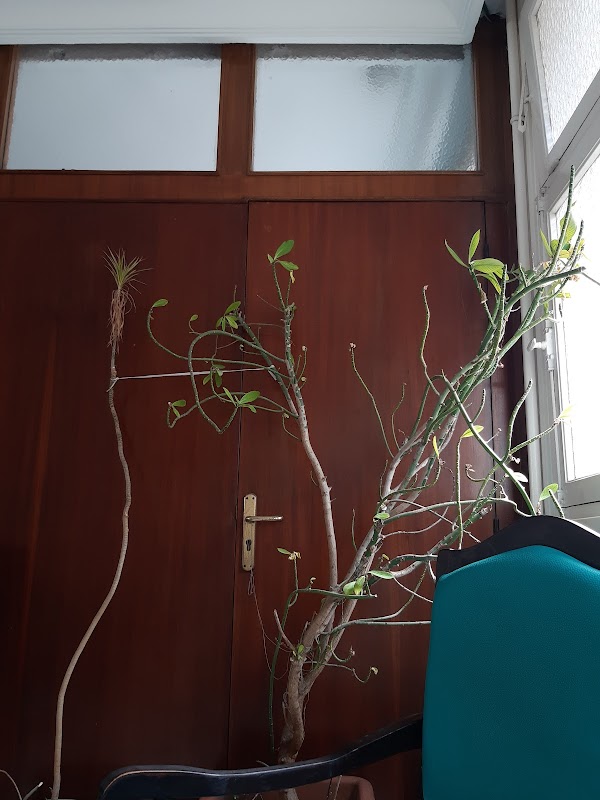 ATCDNfXs1LA_mgE9cvPKIM1DgAOuj6g67FAe2Nq9dPQuYfAPwqJ-Y25qg-L9p7WU0u7c0jV7-Kxa2ZUKn08ct_JbB5hE7-7a8ZBY1wi-uKEr40nIipOZNiCoqaJ6SqXoPk_8vvR8oMO0kvUPPBUNDd6lS0pisTqyjOK1dQqIUfGJ6mlSmCXjA5RpjXbhpZgrXZwDKluGYct_BOAOmSqsqU7wyQf2Rw7InjP2gjY4wCovat2wuP8G-iGRNCn-mFmuhup4RfAWIvP4PiTLI0hQNYGkB-8Guv_MugvAr9_QyL8Ag2rw30Q0-0jrXU7uA-Mi-kQ1N1QDv2yu5WDn-x_abb5sHnRcErDH43kQ43PIHddcUBUGSmxD6VIQJX81u01rrf1Yu6kJ9aKPulHukpqlt4kddLpf7z8S_O8u64WLhVHiKqqN2l_G_4