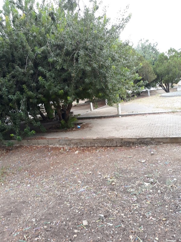 AU_ZVEG7SSwK4IzEJsftNhdgxEs56e_ikHXdiMXUvE5F6QK14Nm0LFD2yX52yqu-Eld1XSkH9nUuCmuf7KQ8J-ZqFTFz0RhCrRfU6aBjfFR6_sFjC_Iiw-R7eRTD9NxQ8UIwGeOEJVgkgD0TbcuqCu0CyvlxTVpC48dHYmE4aloDjHXlL6i96owMFyA0aQ7ePCtbllG9KcFaEgyGdEO7E-hASzk1lz0mz8v8JQNDFTKrHI9aKWWonZczXsLCXsm2YzZuJedwfGtZ13lKHGF2oMKCHwCmwhQWWeGpIKBOjUByI0-0WsJM3EYmHuyrwusc0FZl3vL4waGm6te4ImjgqzMOEZEfvSkeNc2kEa3m3SYetVWt5eMOJ9M1Dt6tIMFBtE5eDVZAPUwiaUz9n8iba7GwXQmWjs1hmdJEswuO9a53oKJD7A_1