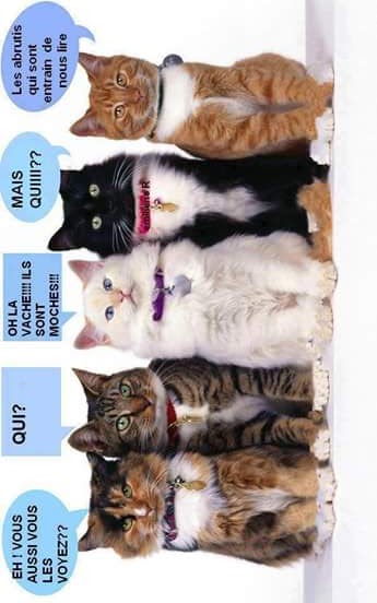 AU_ZVEF3Ak0hvOKVy18Ii_RrBXHm5XckkadjYe7fQaUl809oTFLKOUo_9WWUaPcJcp2WmHnkQAvBqt_adfhd_KnHo6zP8xPAxhtFbx72eb230H-qQ8FS5GutKJazG72UtWxsGhc4pRepPjymUlwh312Y1-QLUE1tChlWOJQiza8T4Te5uQ3Ts07gX7TbBGg3LGf1MTd41RU2E-TMCll4UtfuXqDTYmn6ShTLLG70nhhC-lJZ6peDe9fjYH8EMrb3LAoj-Q3ZXD_C54bsHjifAlY7uJ0x9WuE_IPhe-43-BEmeSEUpIckzi4IznbaKMtFN16SJW08mge_0keql2Mst-1FaNbQPsLlg8mPiNH_0EAwZjXSKp_0HCAo9kCf32mXvuqbMD_qOskBE5jkTbfwL05Eo4bwRVLi8dY1Tc7NYmp6WBTnBx0_3