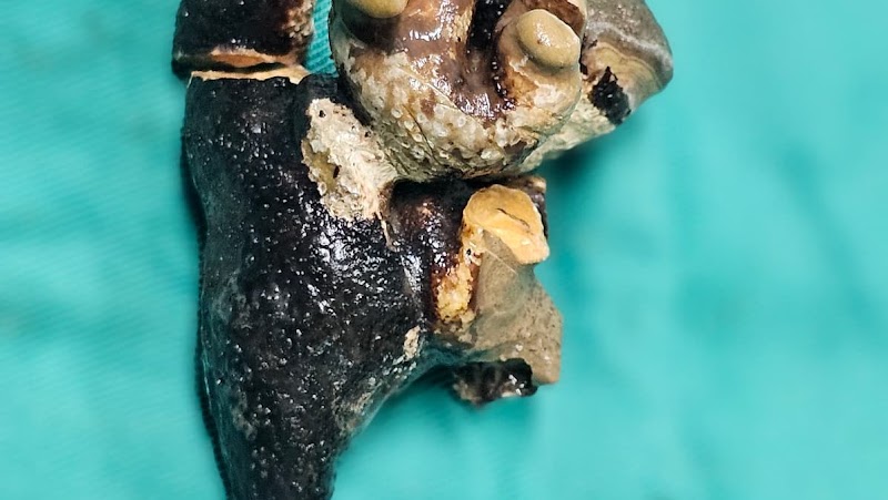 ATCDNfXhsvhYttjn2g99g6wMC2kflhhp4TJ0vNB1g_b3w4v3TyVr8g92r2oG-Md88k2hdGo9K2dvBe866We2NmoTAMQeYVLeOxXMu86awsRr7apfS-piauz4jzh51o18VsR8035IwSTYeoQFxP7XoZ9h9lumMt2l5q2ErxKsLFd_VA-DCJ_CgbEB3d73bnoDHti5nqctsyqi1uQraqch67jDpInQwqYCgSjsaKVhddN-poJ-3dDepvVQHY2EvXD0W4mAs4UXEfXthx8uGlQ9AavWsyQnkTbTxzuQDHGSX0pQLvr7NA_0