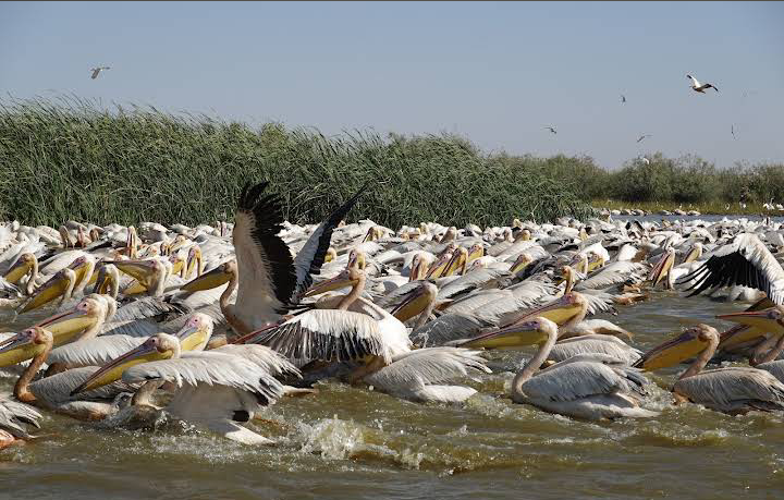 AZLasHpZHPFkb03TAAxgLnaL1jv5DNWDKCtGEAaJ5FHpHgE_sL-rNlLMwt6_SM3rbse0qH_SrSaDmGGHQ0F6XhsG_NHRlw88r760-XEI_NHMb5DmtmPE-cvklshPlKKDK16cgL8Q8VdbBOwNYF14Dp1AyzGN7zk1TDvtFqwP7ZOpAgG8tIK9BiVOfy3J391S5qsF2sOH5pQ89v32lmLD6cgKF6qtDnY2lrRdiNbI-qk06vG9ssRPyqxFpmczctRdN3hDkjB8owr57a8ZdJONSgpClWLTZFDBSIeyrpJ_zsNgLHcscfRRE0U7YNtjEKtwC39vYmfUbbIDKR49SKBbXMnM3GQjVt3pX3ZN7HW6cQfcC8re8_5uv8pnlnW2NtPOsc7OyNOhVYe9Wz35s18ImGy4tXBPC4nkInwosrLb1wAWHBvdlys_2